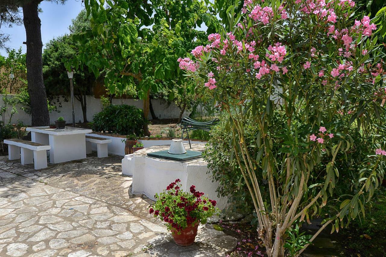 Villa Sofia Agios Georgios  Exteriör bild